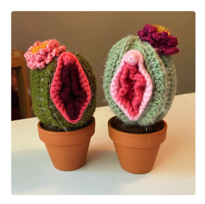 vulva cacti